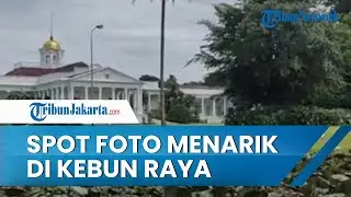 Melihat Istana Bogor Lebih Dekat, Spot Foto Menarik Pengunjung Kebun Raya Bogor