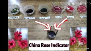 China Rose as an Indicator | Acid-base test | How to Use it | How Identify Acid-base from China Rose