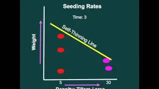 Advanced GCM: Self-thinning Part1