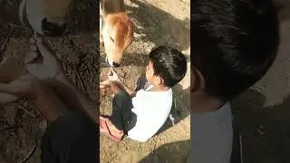 ♥# new viral video#♥# new trending short#♥# Chhota bhai# new short video#♥@WWE @POWERTESTwww #♥♥