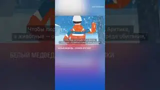 Арктическая добыча. Хозяин Арктики. Часть 1