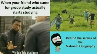 Funny and Relatable Memes That Will Make You Laugh