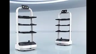 Robot per le Consegne Innovativo ed Efficiente - Intercar Group