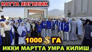 КАТТА ЯНГИЛИК ДЕКАБР ОЙИ УМРА САФАРИ НАРХЛАРИ ТУШДИ