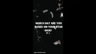 Is your love for bats written in the stars?