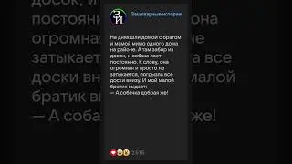 Добрая собачка #историиизжизни #анекдоты #реддит