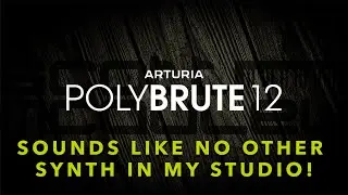Arturia Polybrute 12 - Sounds like no other synth in my studio!