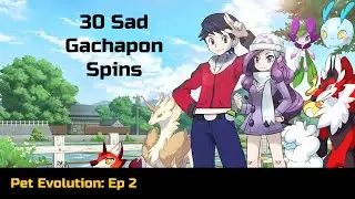 Pet Evolution: First Gym and Sadness
