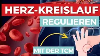 So kannst du das Herz-Kreislauf-System mithilfe der TCM selbst regulieren!