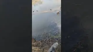 рибалка на фатку 