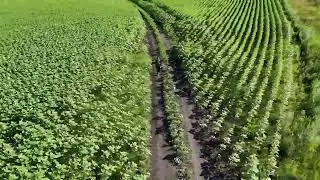 Наш пикник в горах Усть-Каменогорска