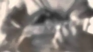 Vieux Farka Touré - 