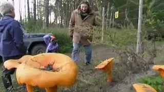 Чудеса за забором. Русские страшилки №5