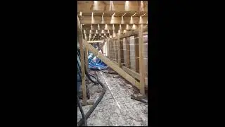 הדברת קן צרעות ליד הבריכה - 055-937-8507 - המדביר שמציל