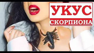 ТАКОГО СКОРПИОНА ОНА ЕЩЕ НЕ ВИДЕЛА !