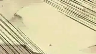 Naruto's Unleashing