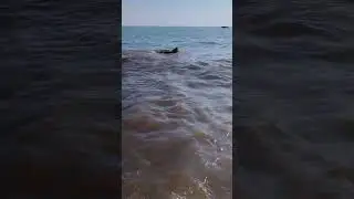 Актау Каспийское море