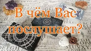 В чем прислушается к Вам? Общий расклад.