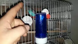 Destek alamazsam bırakacam destek olun