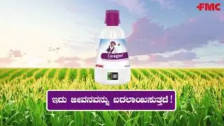 FMC India का Coragen® in Maize - A Walkthrough in Kannada | FMC India