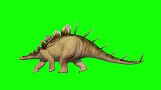 Armored clan on green screen