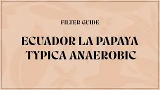 Ecuador La Papaya Typica Anaerobic Filter