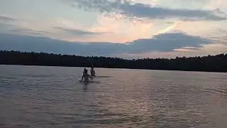 children in the lake at sunset ... дети в озере на закате