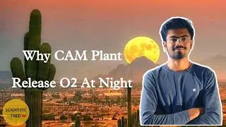 Why CAM Plant O2 Released At Night🌳🌳#botany