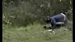 PaintBall