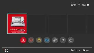 how a Nintendo DS Nintendo Switch Online Startup screen would look like (Fanmade)