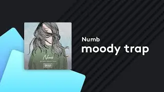 Moody Trap Samples - 