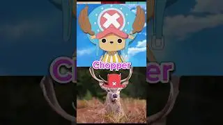 One-piece Netflix сериал. Сравнение актеров и персонажей one-piece. 