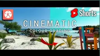 Cinematic colour grading 😍 kine editing11