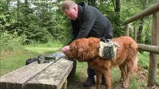 Höhenrundweg im Vogelsberg und Aufruf zu Outdoor mit Billy 2024