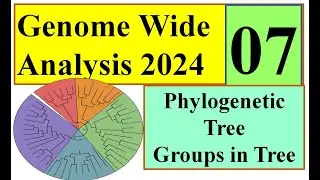 Phylogenetic Tree Genome wide study 2024 Part 07