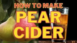 Pear Cider (Perry) at Home: Step‑by‑Step