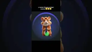 X3 cho napisat #hamsterkombat #хочуврек #memes #cringe #кринж #countryballs #рофл #мемы #мем