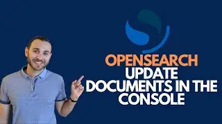 How to Update a Document In An OpenSearch Index in the Console
