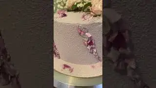 Торт с шоколадным велюром