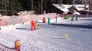 Вики на ски