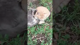 Милашки 😊