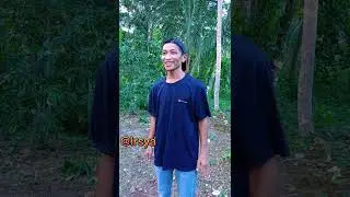 cara mengeluarkan biji rambutan di tenggorokan (hiburan)
