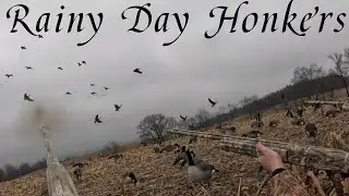 Rainy Day Traffic Goose Hunt (we limited out))