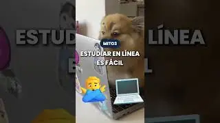¿Es verdad lo que dicen de estudiar en línea? Descubre la verdad detrás de los rumores. 😱💻