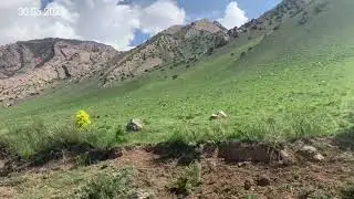 Поход 🏕 с друзьями 30.05.2021