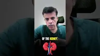 Navigating Iga Nephropathy: Understanding Your Diagnosis| #medicos #pathology