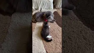 Давай чуть-чуть поскандалим с тобой