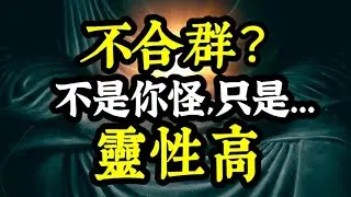 內在靈性極高的人，基本上，都「不合群」！「不是」因為他們自命清高