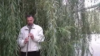 Александр Чараев - Терраса Хризантем