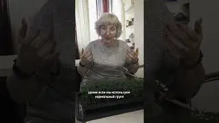 подкормки рассады 